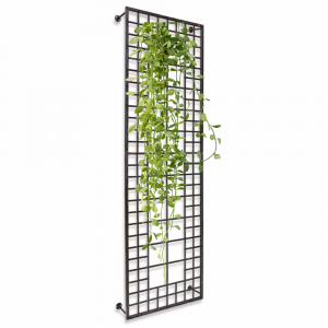 treillage-plante-grimpante-sulfok